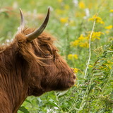 Tiengemeten